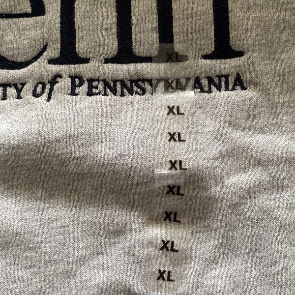 JanSport Penn University of Pennsylvania Sweatshirt - Picture 4 of 9